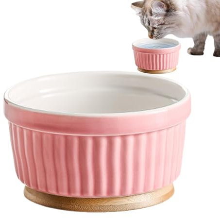 Ciotola per acqua riscaldata per gatti, ciotola termostatica in ceramica per cani | Ciotola termica in ceramica per cani | Mangiatoia riscaldante per cani in ceramica, invernale per animali