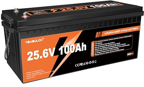 YEAGULCH LiFePO4 Lithium Batterie 24V 100Ah 100A BMS 15000 Zyklen 2560Wh | Low Temp Cut off LiFePo4 Akku Deep Cycle Batterien für Wohnmobile, Solarenergie-Speicherung, Off-Grid,Boot