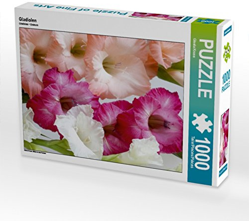CALVENDO Puzzle Gladiolus 1000 Pieces 48 x 64 cm from Gisela Kruse
