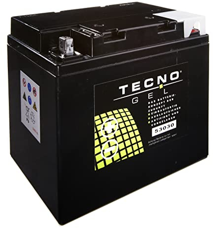 TECNO-GEL Motorrad Qualitäts Batterie 53030 für MOTO GUZZI Nevada 750, Club 1989-2004, 12V Gel-Batterie 30Ah, 187x130x170 mm