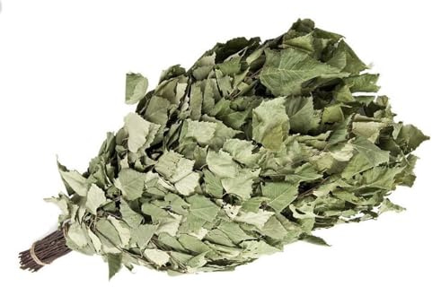 Saunabesen aus Birke – Frischer Sauna-Quast für Rituale & Wellness – Naturprodukt mit ätherischen Ölen – 1–2 Anwendungen (5)