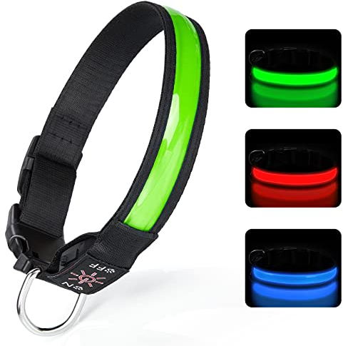 TENXSNUG Leuchthalsband Hund USB Aufladbar, Einstellbares LED Hundehalsband Leuchtend mit 3 Leuchtmodi für Kleine, Mittlere und Große Hunde, die Nachts Sicher Spazieren Gehen - Hellgrün - S