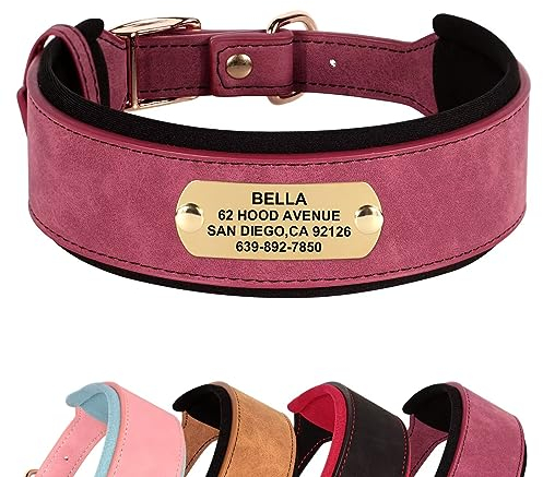 Didog Weich Gepolstertes Personalisiertes Hundehalsband, Breites Leder-Hundehalsband mit Namensschild, Verstellbares benutzerdefiniertes Hundehalsband mit Metallschnalle für mittelgroße große Hunde,