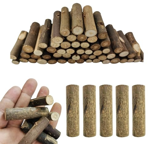 100 Stück 5,1 cm natürliche Birkenzweige Bastelstäbe – Mini-Holzscheite, ideal für Bastelarbeiten, fügen rustikalen Charme zu Bauernhaus-Dekor, Tisch-Displays und rustikale Heimdekoration hinzu