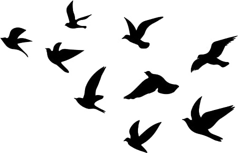 SUPERDANT 9pcs Black Birds Wall Decor Flying Bird Shadow Wall Stickers Wallpaper Cling Decals DIY Doves Decor Art Decals for Home Bedroom Living Room Classroom Sticker Vinyl Transfer Decoration
