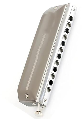 Chromatische Mundharmonika mit 12 Löchern in C-Taste, exquisiter silberner Metallkörper, Standard-Klangqualität Mundharmonika-Set