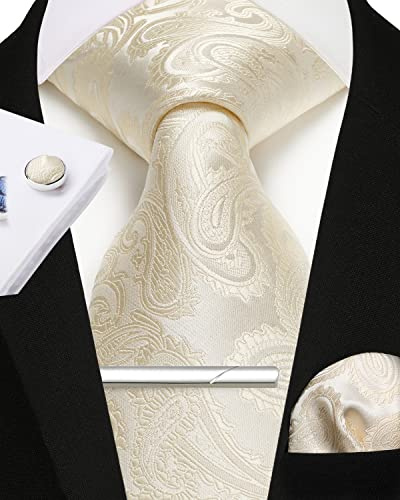 Enlision Cravatta Champagne Uomo Cravatte Fazzoletto Set e Fermacravatta