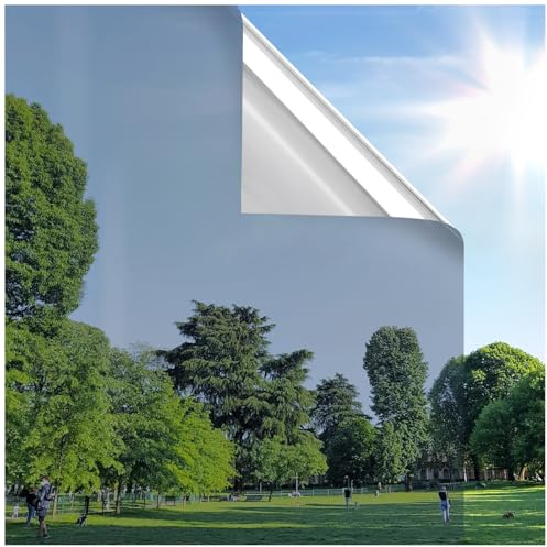 rabbitgoo Window Privacy Film One Way Window Tint for Home, Removable Reflective Heat Sun Blocking Anti UV Glass Door Covering, Mirror Tinting Film House Office, 17.5 in X 6.5 Feet, Silver