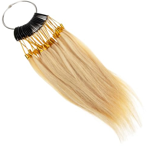 Veemoon Cercle Chromatique en Cheveux Humains Beige pour Extensions de Cheveux Acier Inoxydable, Facile à Ranger, pour Salon et Enseignement Scolaire