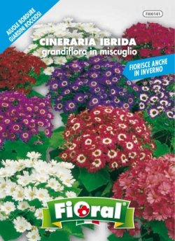 L'Ortolano Semences de fleur de qualité en sachet pour utilisation amateur
