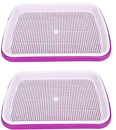 REpicefinem 2pcs double couche hydroponie de la plante fleurie graine de graines de graine de graine de semis de semis de semis de semence de pépinière