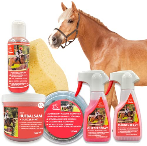Mähnenspray Schweifspray Für Pferde I Pferde Shampoo I Huffett Pferde I Pferde Leckerlies I Schwamm I Pferdepflege Set Kinder + Leckerli Pferd 5 Teile I Putzzeug Pferdepflege I Inhalt Putzbox Pferde