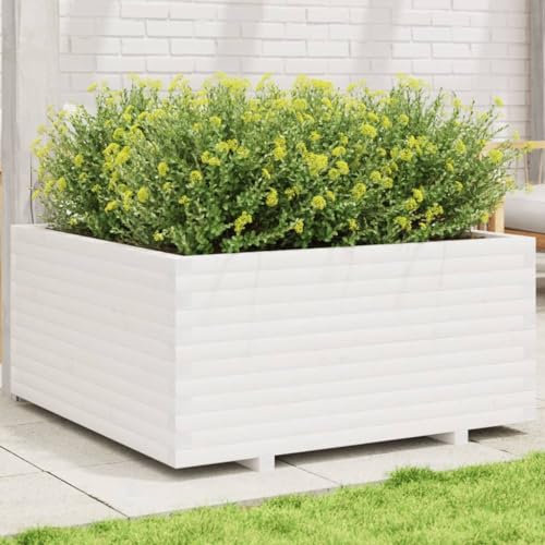 Sufrk Jardinière Blanc 100x100x49,5 cm Bois de pin Massif Jardiniere sur Pieds,Bac avec Treillis,Jardiniere Terrasse