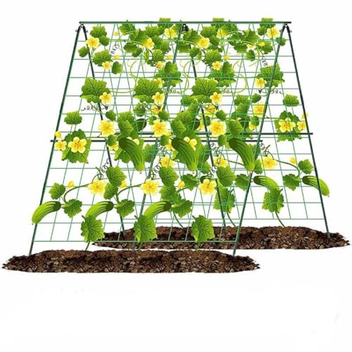 121,9 cm H x 121,9 cm L, Gurken-Rankgitter für Hochbeet, verstellbares Garten-Rankgitter für Kletterpflanzen, Outdoor, A-Rahmen-Spalier für Gemüse, Gurken, Tomaten, Wachstumsstützen (mit Kletternetz)