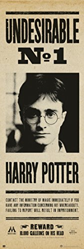 Erik® - Poster parete grande XXL Harry Potter Undesirable No.1, 53x158 cm