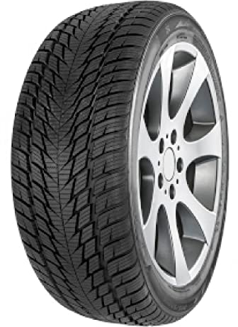FORTUNA - 225/60 R18 TL 104V WINTER SUV2 XL M+S 3PMSF - Winterreifen