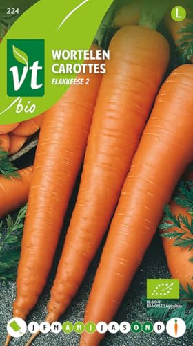 Karotten Flakkeese 2 Bio - Gemüsesamen