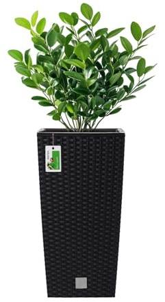 PAFEN Hoher Blumenkübel 19l – 23,5 x 23,5 x 45 cm - Pflanzkübel in Rattan-Optik Inkl. Pflanzeinsatz 7,5L Kunststoff Topf Blumentopf Pflanzenbehälte, Anthrazit