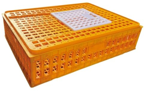 RNXRZANK Jaula Transporte Aves Conejo, Caja plástico para Pollos, s y s, Amarillo
