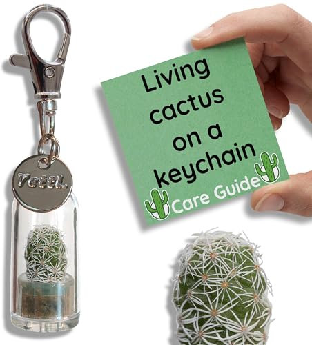 Yetti | Real Cactus Keyring - Living Plant Gift Keychain (Ghost - Single) | Tiny Plant Gift for Cactus Lovers, Plant Keyring Keychain