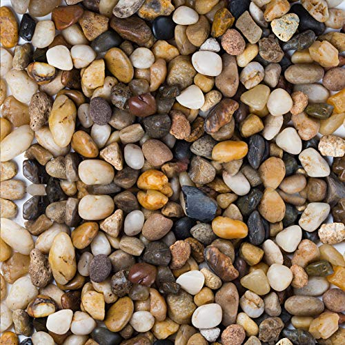 LIHAO Gravier pour Jardin, Pierres Décoratives Cailloux pour Jardinière Plantations - Multicolore, 460g