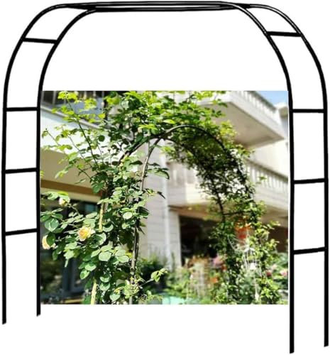 WCQSYY Robuste Rosenbogen Torbogen Rostfrei Metall Gartenbogen Rankgitter Für Rosen Und Kletterpflanzen, 120CM 140CM 180CM 240CM 350CM Rosenbögen,Schwarz,W1.4M*H2.3M