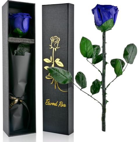 PLECUPE Rosa eterna con Gambo, Vera Rosa Infinita in Scatola, Regalo per Donne, Rosa conservata, Durevole in Scatola di Rosa, Regalo per Mamma, Fidanzata, San Valentino, Festa della Mamma, Blu