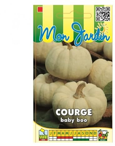 Sachet de graines de Courge Baby Boo - 3 g - légume fruit - LES GRAINES BOCQUET
