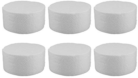 Healifty Foam Cylinder Diy Painting Graffiti Ornaments 3.94 in Polystyrene Block for Kids Hand-Painted Toys Crafts Flower Art and Cake Decoration 6 Pieces