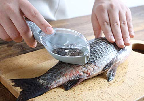 Gwill Fischbesteck Schuppenreiniger Pinselschaber Fischhautschäler Entferner Küchenwerkzeug