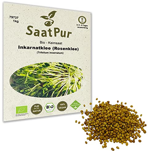 1Kg BIO Keimsprossen Inkarnatklee Rosenklee Samen Sprossensaat Microgreens Mikrogrün Grünkraut Sprossenanzucht