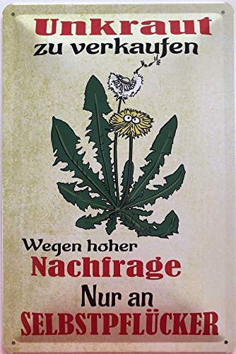 Blechschild 30 x 20 cm Garten Spruch: Unkraut zu verkaufen. Wegen hoher Nachfrage. Nur an Selbstpflücker - Deko7