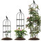 Obélisque De Jardin, Tuteur Plante Grimpante, Pour Plantes En Pot Intérieur Extérieur, Diamètre De L'anneau 25cm 30cm, Hauteur 120cm 150cm 180cm, Facile À Assembler(Color:Black,Size:30x150cm/11.8x59in