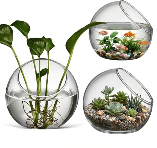balacoo 3 Pcs Glass Terrariums Bowl for Plants, Terrarium Jar for Air Plant Clear Globe Vase Glass Bowl for Home Desktop Decor