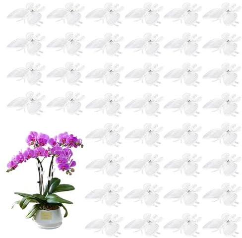 Vylro 40 Stück Pflanzenclips Orchideen Klammern, 3cm Mini Orchideen Klammern, Transparent Pflanzenklammern Butterfly Shape, Garten Pflanzen Clips Klein Transparent für Unterstützen und Halten Pflanze