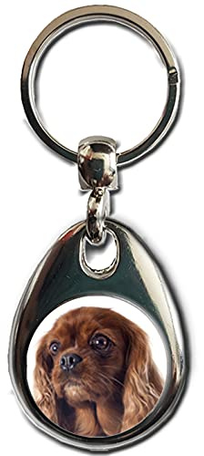 KAZMUGZ CAVALIER KING CHARLES SPANIEL ruby Dog KEYRING. Heavy quality metal gift keyring. Double sided keychain. Puppy Dog Pet gift.