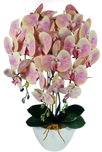 Damich Künstliche Orchidee im Topf Gummi - Modell 3pgbb, mit Moos, 60 cm hoch, 3 Stielen mit vielen Blumen (Teefarbe)