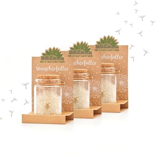 Die Stadtgärtner – 3x Wunscherfüller I Echte Pusteblume im Glas I Ewig haltbar I Perfekte Geschenkidee für jeden Anlass I Geschenke für Frauen & Freundin