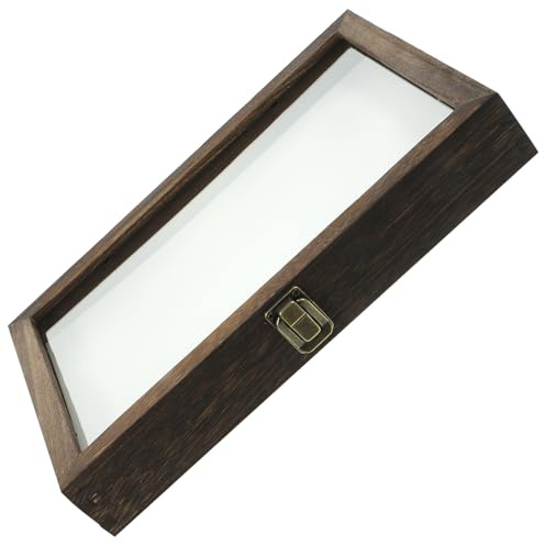DEARMAMY Caja de Exhibición de Muestras de Madera con Tapa Acrílica Transparente para Coleccionar Insectos y Mariposas, Adecuado para Decoración de Escritorio Estilo
