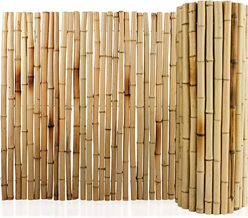 Floordirekt | Canisse bambous Ronds | Paravent | Robuste et résistant aux intempéries | Idéal Brise-Vue pour Balcon, terrasse et Jardin | Diamètre Ø 26 mm | Naturel, 150 x 250 cm