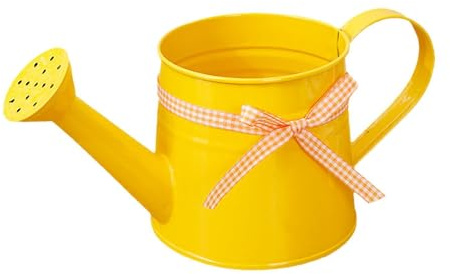 Mini annaffiatoio – Piccolo vaso d'acqua | Spruzzatore per piante da interno con soffione doccia rimovibile, contenitore decorativo in ferro per scrivania, balcone, accessorio da giardino con nastro a