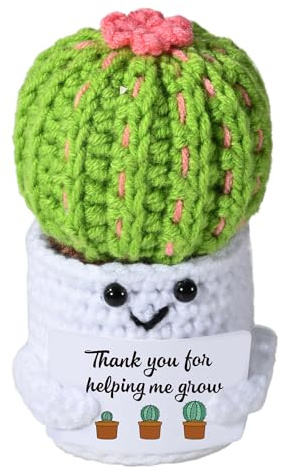 AIVCQZE Appreciation Gifts for Teacher,Handmade Knitted Cactus Thank You for Helping Me Grow,Teacher's Birthday Thank You Gift,Christmas,Graduation Presents Positive Crochet Cactus