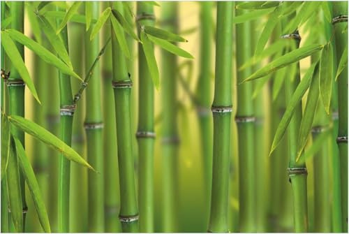 Fotomurales Decorativos Pared Bambú 200x140 cm Papel Pintado Tejido No Tejido Bosque Verde Fotomural 3D Mural Paredes Papel Tapiz Decoración Salón o Dormitorio a-8114