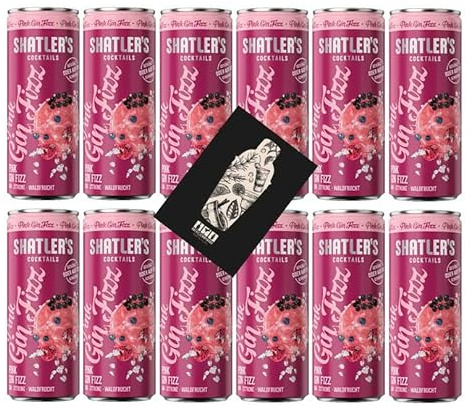Shatlers 12er Set Pink Gin Fizz 12x 0,25L (10,1% Vol) inkl. Pfand EINWEG - [Enthält Sulfite]