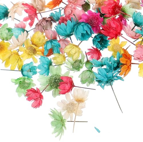 Tofficu Selbstgemacht Trockenblumen Satz Handgefertigte Getrocknete Blumen Farbige Trockenblumen für Basteln Kerzen Handyhüllen und Geschenkdeko 1 Beutel ohne Stiele