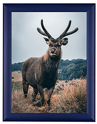 Rahmendesign24 Posterrahmen Fiona 30x40 Dunkelblau Fotorahmen, Wechselrahmen, Bilderrahmen
