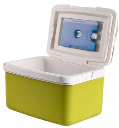 6L 26x18x20cm Kühlbox mit Trage Isolierte Kühlbox PP Picknick Hard Cooler Griff Thermobehälter Kühl für 12-24h Thermo ca. 4-8h für Getränke und Snacks Picknick Reisen Camping BBQ