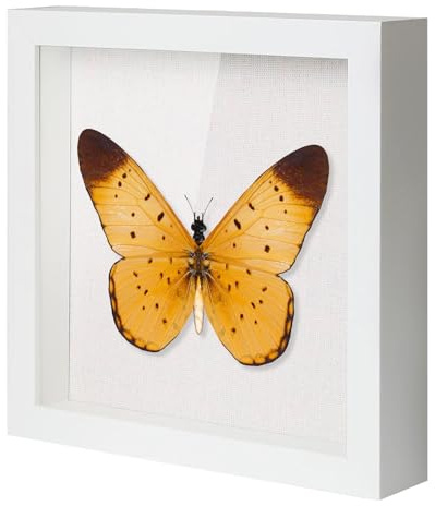 QDSSDECO 10x10 Shadow Box Frame with Linen Backboard & Real Glass, Wood Display Case, Deep Showcase to Hang The Photos, Tickets, Wedding Bouquets, Medals, Baby Sports Memorabilia,White