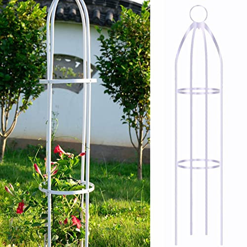 Mgichoom Garten Obelisk Klettern Rankturm Rankhilfe Obelisk Metall Rankhilfe Für Rosen Kletterpflanzen Rankobelisk Abnehmbar Metall Blumenständer Für Kletterpflanzen Flower Support Stand Pisole