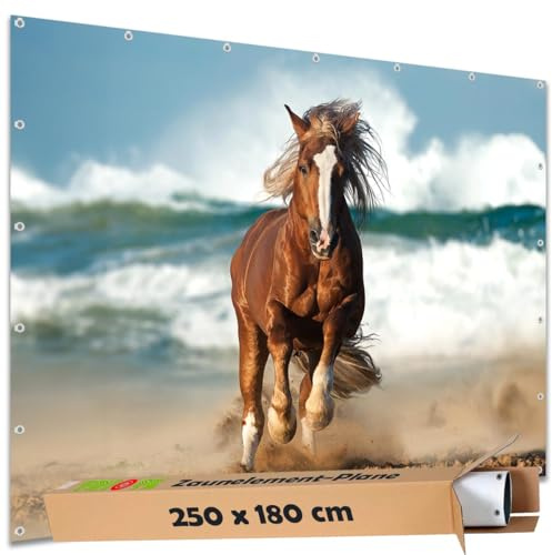 TRIOSK Sichtschutz Garten Deko Zaun Plane Blickdicht groß mit Zaunblende Motiv Pferd Meer Strand Strandpferd für Zaunelement Doppelstabmatten Stabmattenzaun Gartenzaun PVC 250x180 cm